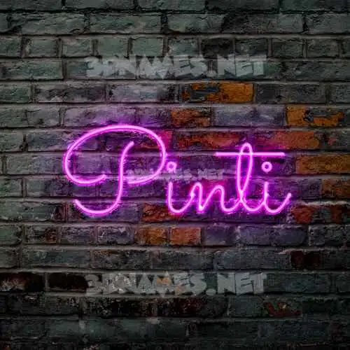 pinti in Pink Neon style - 3D name wallpaper pinti in Pink Neon style - 3D name wallpaper