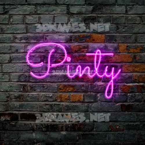 pinty in Pink Neon style - 3D name wallpaper