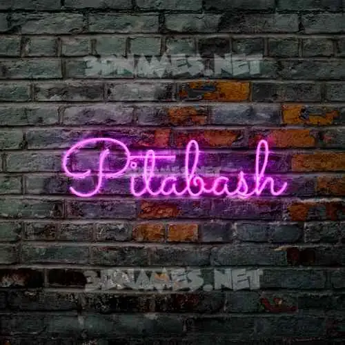pitabash in Pink Neon style - 3D name wallpaper pitabash in Pink Neon style - 3D name wallpaper