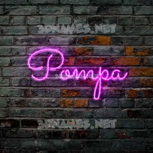 pompa in Pink Neon style - 3D name wallpaper