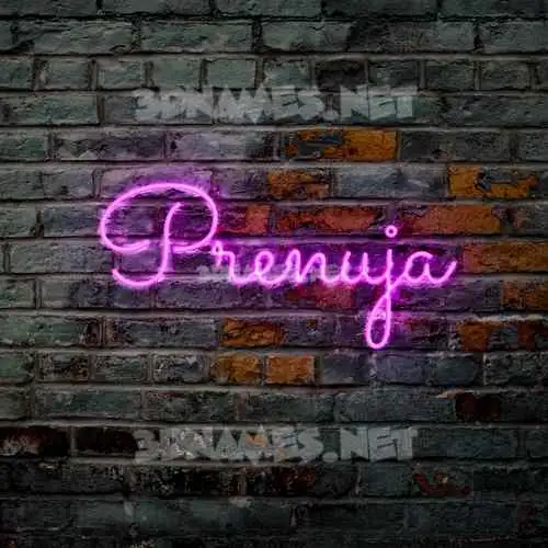 prenuja in Pink Neon style - 3D name wallpaper prenuja in Pink Neon style - 3D name wallpaper