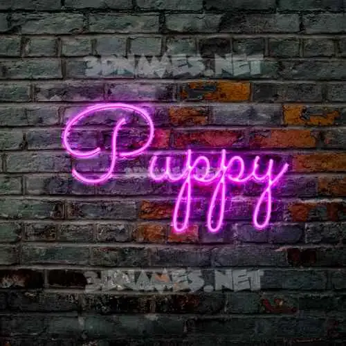 puppy in Pink Neon style - 3D name wallpaper puppy in Pink Neon style - 3D name wallpaper