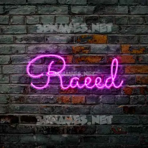 raeed in Pink Neon style - 3D name wallpaper raeed in Pink Neon style - 3D name wallpaper