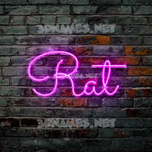 rat in Pink Neon style - 3D name wallpaper rat in Pink Neon style - 3D name wallpaper