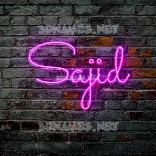 sajid in Pink Neon style - 3D name wallpaper sajid in Pink Neon style - 3D name wallpaper
