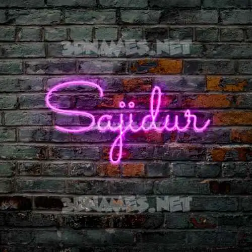 sajidur in Pink Neon style - 3D name wallpaper sajidur in Pink Neon style - 3D name wallpaper
