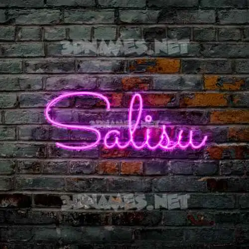 salisu in Pink Neon style - 3D name wallpaper salisu in Pink Neon style - 3D name wallpaper