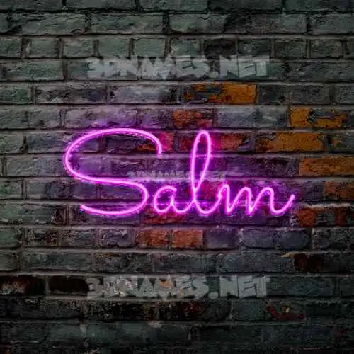 salm in Pink Neon style - 3D name wallpaper
