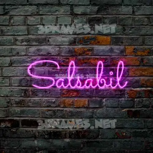 salsabil in Pink Neon style - 3D name wallpaper