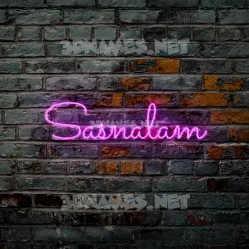 sasnalam in Pink Neon style - 3D name wallpaper sasnalam in Pink Neon style - 3D name wallpaper