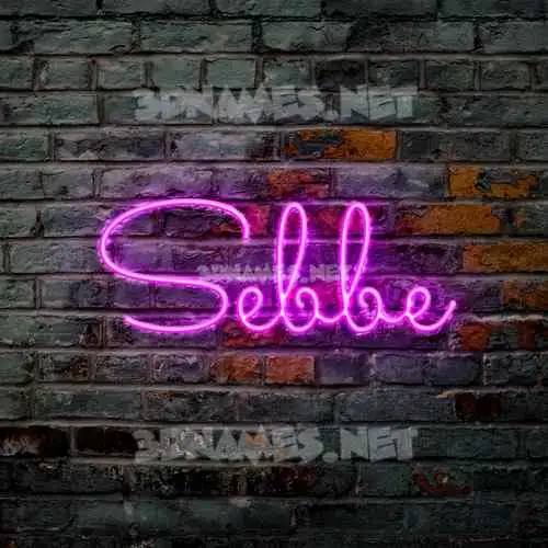 sebbe in Pink Neon style - 3D name wallpaper sebbe in Pink Neon style - 3D name wallpaper