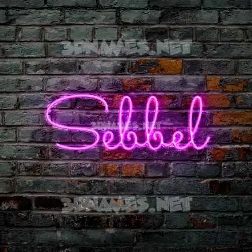 sebbel in Pink Neon style - 3D name wallpaper