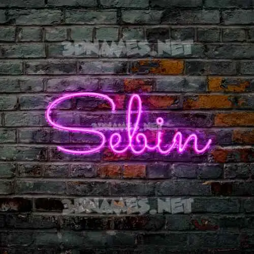 sebin in Pink Neon style - 3D name wallpaper