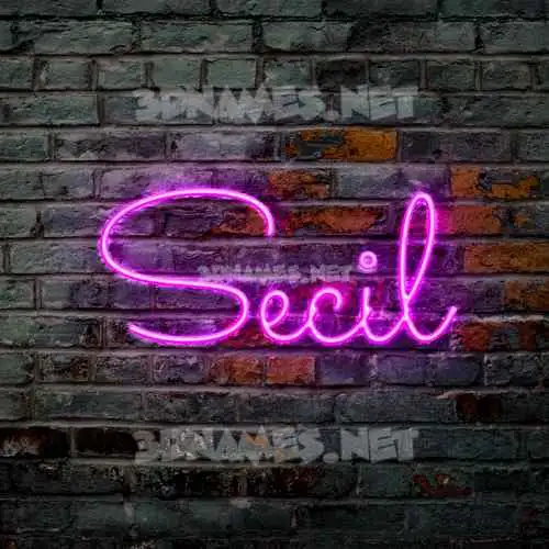 secil in Pink Neon style - 3D name wallpaper secil in Pink Neon style - 3D name wallpaper