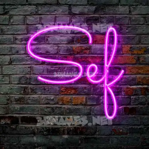 sef in Pink Neon style - 3D name wallpaper