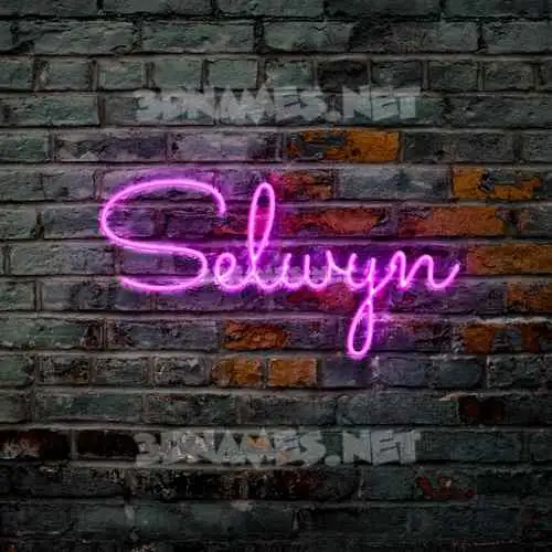 selwyn in Pink Neon style - 3D name wallpaper selwyn in Pink Neon style - 3D name wallpaper