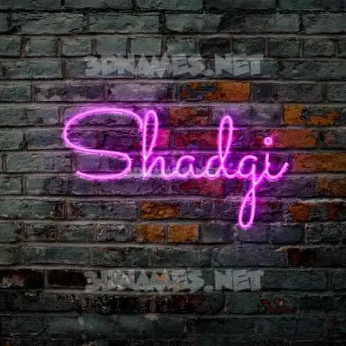 shadgi in Pink Neon style - 3D name wallpaper shadgi in Pink Neon style - 3D name wallpaper