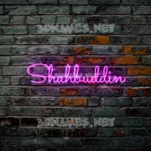 shahbuddin in Pink Neon style - 3D name wallpaper
