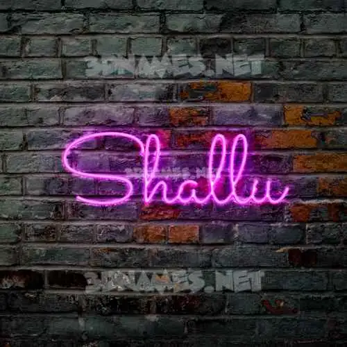 shallu in Pink Neon style - 3D name wallpaper shallu in Pink Neon style - 3D name wallpaper