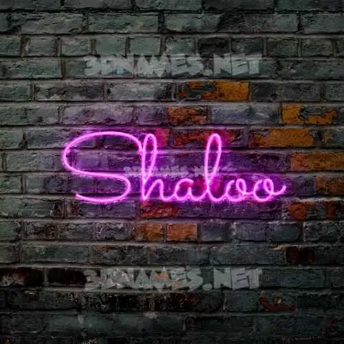 shaloo in Pink Neon style - 3D name wallpaper shaloo in Pink Neon style - 3D name wallpaper