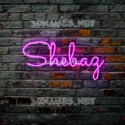 shebaz in Pink Neon style - 3D name wallpaper shebaz in Pink Neon style - 3D name wallpaper