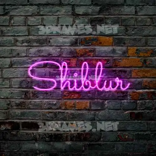 shiblur in Pink Neon style - 3D name wallpaper
