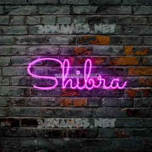 shibra in Pink Neon style - 3D name wallpaper