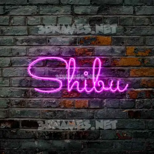 shibu in Pink Neon style - 3D name wallpaper shibu in Pink Neon style - 3D name wallpaper