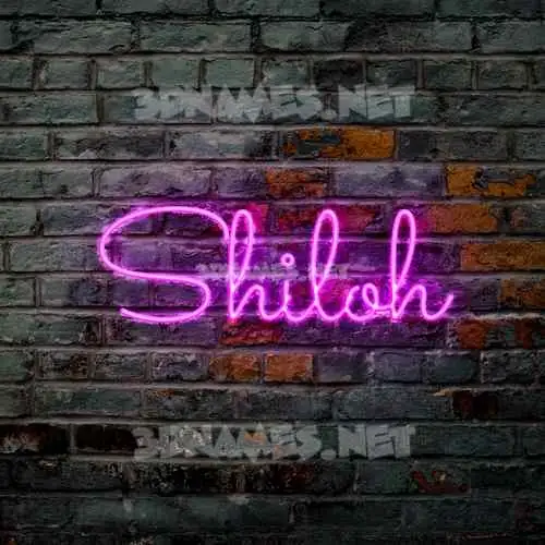 shiloh in Pink Neon style - 3D name wallpaper