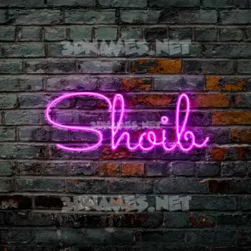 shoib in Pink Neon style - 3D name wallpaper shoib in Pink Neon style - 3D name wallpaper