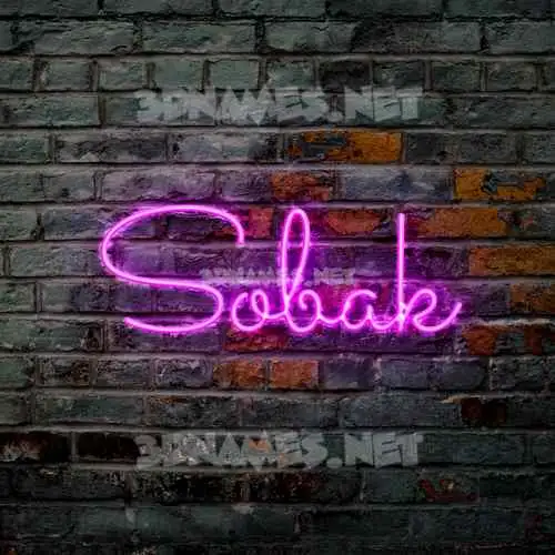 sobak in Pink Neon style - 3D name wallpaper sobak in Pink Neon style - 3D name wallpaper