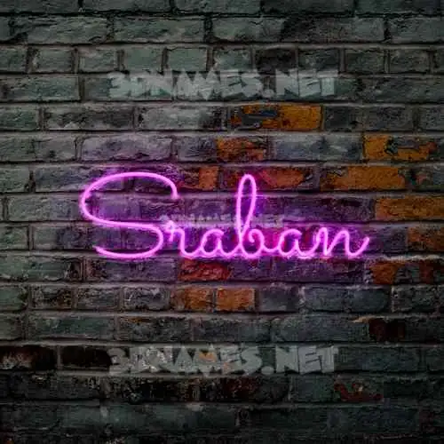 sraban in Pink Neon style - 3D name wallpaper sraban in Pink Neon style - 3D name wallpaper