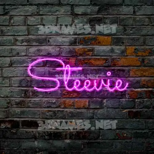 steevie in Pink Neon style - 3D name wallpaper