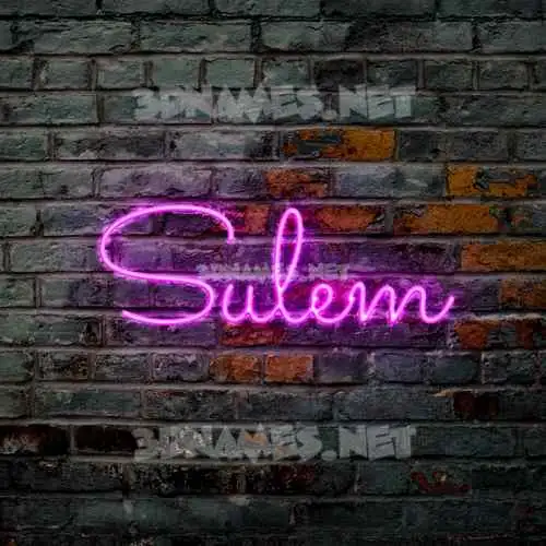 sulem in Pink Neon style - 3D name wallpaper sulem in Pink Neon style - 3D name wallpaper