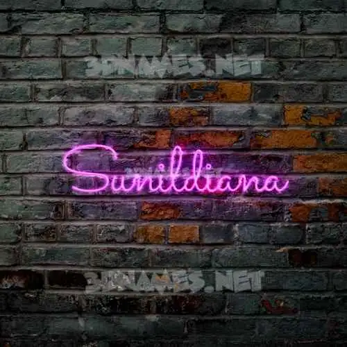 sunildiana in Pink Neon style - 3D name wallpaper sunildiana in Pink Neon style - 3D name wallpaper