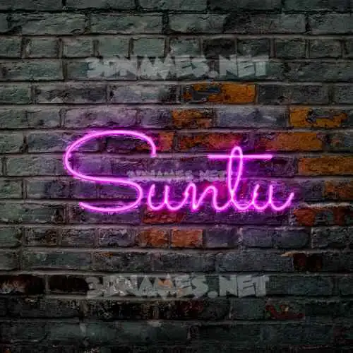 suntu in Pink Neon style - 3D name wallpaper suntu in Pink Neon style - 3D name wallpaper