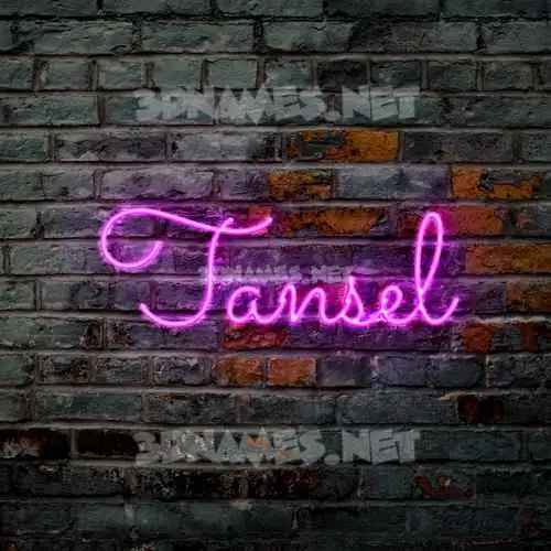 tansel in Pink Neon style - 3D name wallpaper