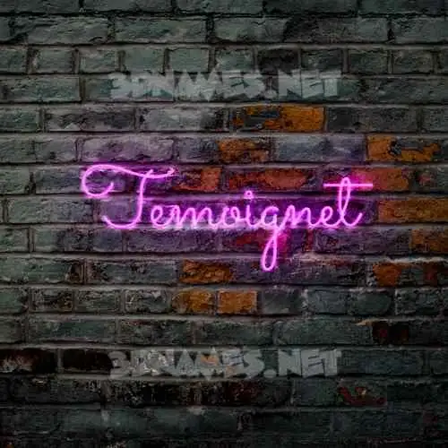 temoignet in Pink Neon style - 3D name wallpaper temoignet in Pink Neon style - 3D name wallpaper