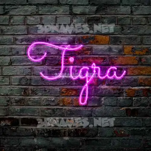 tigra in Pink Neon style - 3D name wallpaper tigra in Pink Neon style - 3D name wallpaper