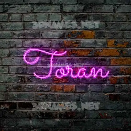 toran in Pink Neon style - 3D name wallpaper toran in Pink Neon style - 3D name wallpaper