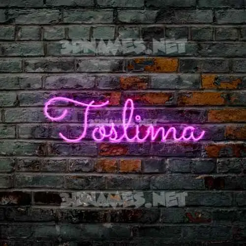 toslima in Pink Neon style - 3D name wallpaper toslima in Pink Neon style - 3D name wallpaper