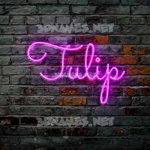 tulip in Pink Neon style - 3D name wallpaper tulip in Pink Neon style - 3D name wallpaper