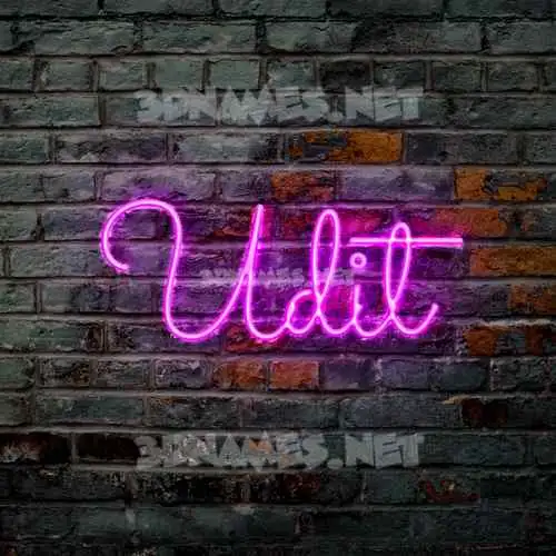 udit in Pink Neon style - 3D name wallpaper