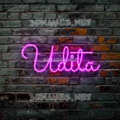 udita in Pink Neon style - 3D name wallpaper