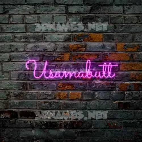 usamabutt in Pink Neon style - 3D name wallpaper usamabutt in Pink Neon style - 3D name wallpaper
