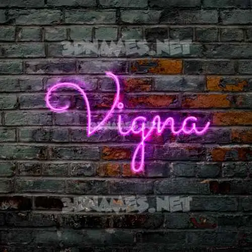 vigna in Pink Neon style - 3D name wallpaper