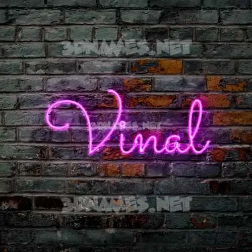 vinal in Pink Neon style - 3D name wallpaper