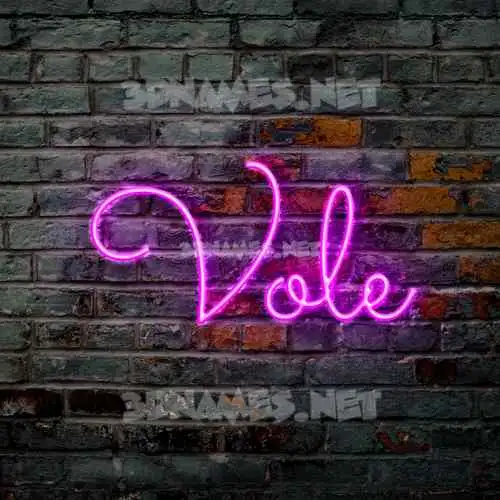 vole in Pink Neon style - 3D name wallpaper vole in Pink Neon style - 3D name wallpaper