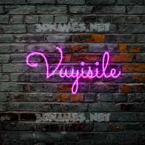 vuyisile in Pink Neon style - 3D name wallpaper vuyisile in Pink Neon style - 3D name wallpaper