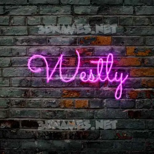 westly in Pink Neon style - 3D name wallpaper westly in Pink Neon style - 3D name wallpaper